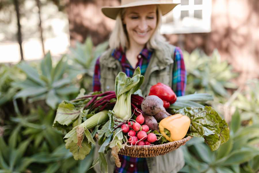 Farmer with a basket of fresh produce